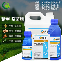 先正达翠影 一剂多效的种衣拌种剂 ，守护大豆根腐病与水稻恶苗病的绿色卫士